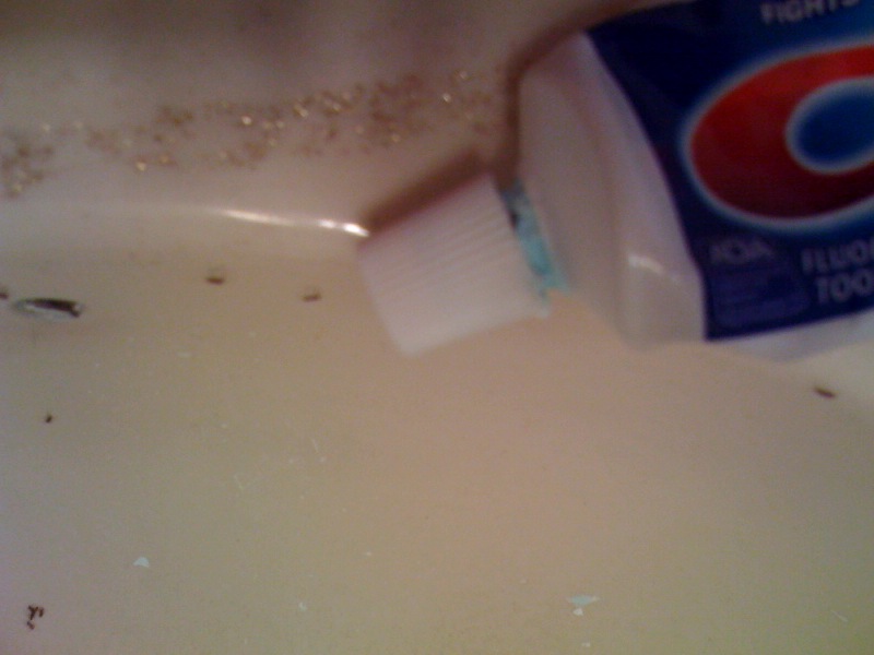 ants1