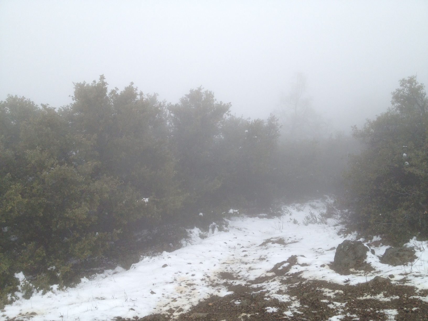 Mount Diablo