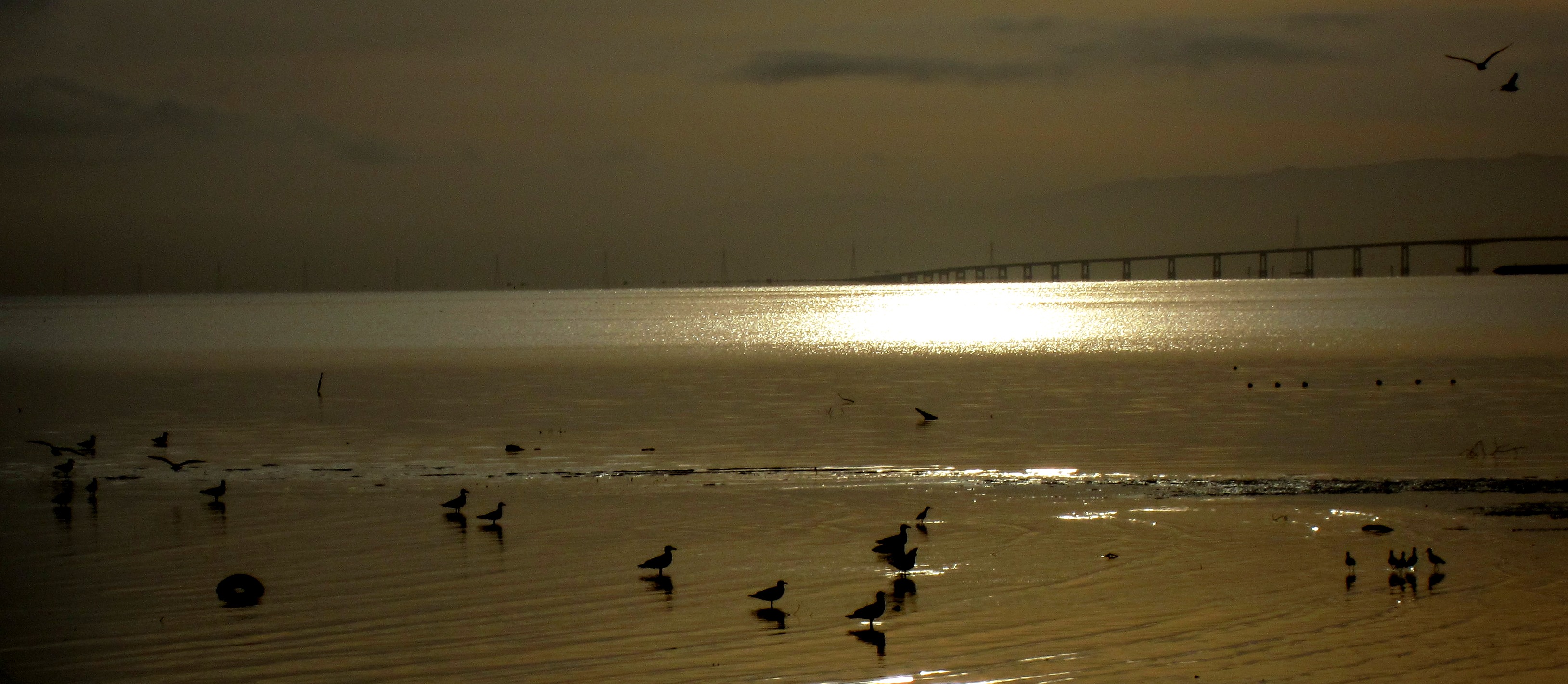 Bay at dawn vor PT 024_