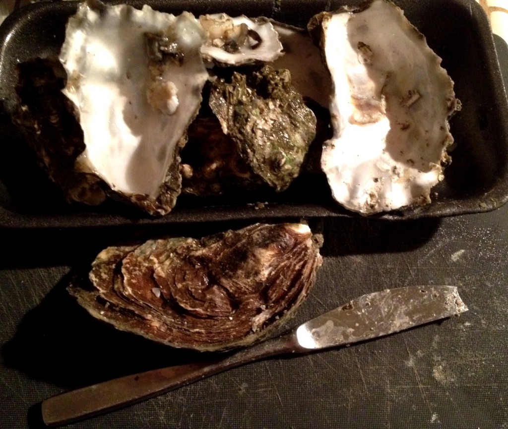 Oysters