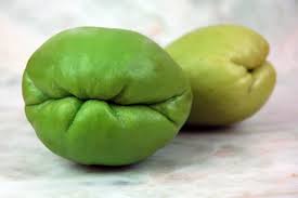 chayote2