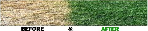 grass paint2