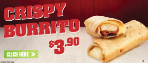crispy burrito