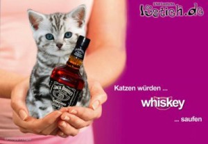 katzen würden