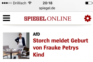 Storch