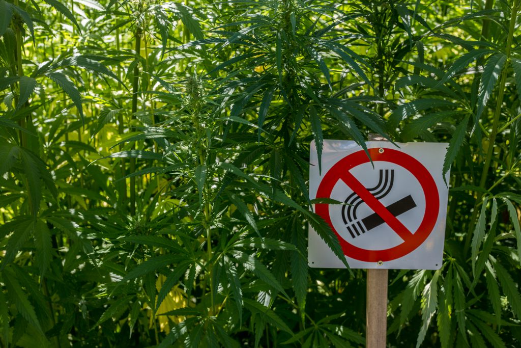 no smoking