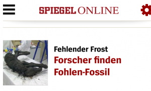 fohenfossil