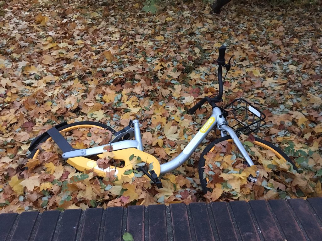 der letzte seiner Art