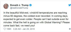 trump global warming tweet